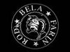 images/avatars/avatar-13199.jpg