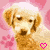 images/avatars/avatar-14528.gif