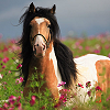 images/avatars/avatar-32283.png