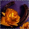 images/avatars/avatar-34556.jpg