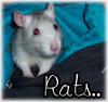 images/avatars/avatar-34604.jpg