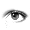 images/avatars/avatar-10526.gif