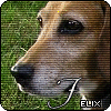 images/avatars/avatar-10623.gif