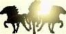 images/avatars/avatar-10731.gif