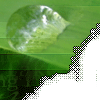 images/avatars/avatar-11059.gif