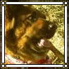 images/avatars/avatar-12206.gif