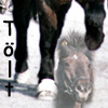 images/avatars/avatar-13881.jpg