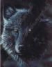 images/avatars/avatar-14633.jpg