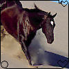 images/avatars/avatar-15578.jpg