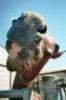 images/avatars/avatar-17219.jpg