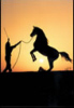 images/avatars/avatar-1843.jpg