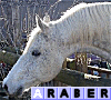 images/avatars/avatar-1882.gif