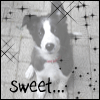 images/avatars/avatar-20298.gif