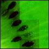 images/avatars/avatar-21742.jpg