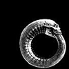 images/avatars/avatar-21888.jpg