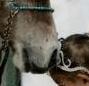 images/avatars/avatar-22864.jpg