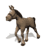 images/avatars/avatar-22958.gif