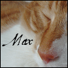 images/avatars/avatar-2382.gif