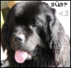 images/avatars/avatar-23859.png