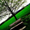 images/avatars/avatar-23892.png