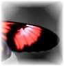 images/avatars/avatar-24680.jpg
