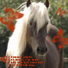 images/avatars/avatar-24732.jpg