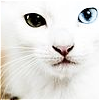 images/avatars/avatar-27194.png