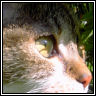 images/avatars/avatar-2740.jpg