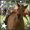 images/avatars/avatar-29799.jpg