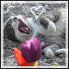 images/avatars/avatar-30487.gif