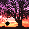 images/avatars/avatar-30642.png