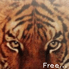 images/avatars/avatar-30679.gif
