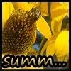 images/avatars/avatar-31336.jpg