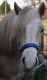 images/avatars/avatar-33731.jpg