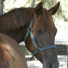 images/avatars/avatar-36739.gif