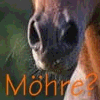 images/avatars/avatar-37118.gif