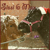 images/avatars/avatar-40470.png