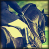 images/avatars/avatar-41663.png