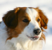 images/avatars/avatar-42715.png