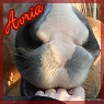 images/avatars/avatar-43917.png