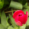 images/avatars/avatar-43975.png