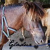 images/avatars/avatar-44419.png