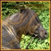images/avatars/avatar-44730.jpg