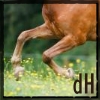 images/avatars/avatar-45213.jpg