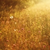 images/avatars/avatar-45324.jpg