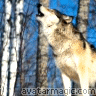 images/avatars/avatar-47134.gif