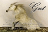 images/avatars/avatar-47173.gif