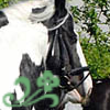 images/avatars/avatar-47392.png