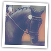 images/avatars/avatar-47726.png