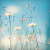 images/avatars/avatar-48018.png